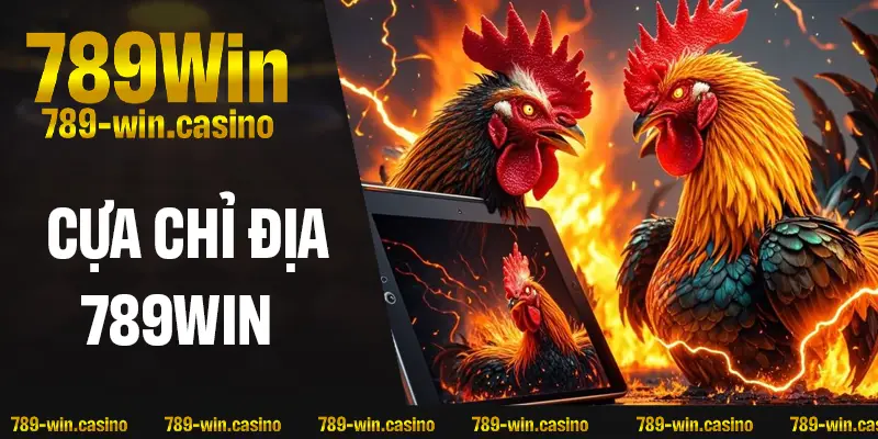 Cựa Chỉ Địa – Chìa Khóa Bí Ẩn Giúp Gà Chọi Vươn Tầm