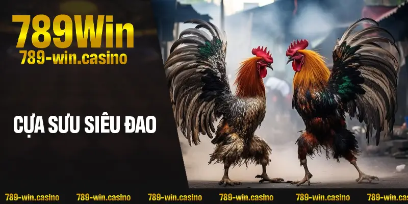 Cựa Sưu Siêu Đao – Vũ Khí Đỉnh Cao Dành Cho Thần Kê