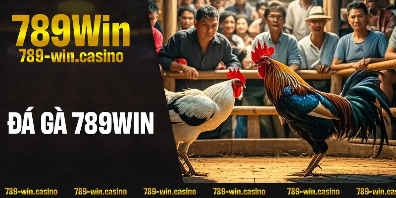 Đá Gà 789WIN – Săn Thưởng Xanh Chín, Cược To Thắng Khủng