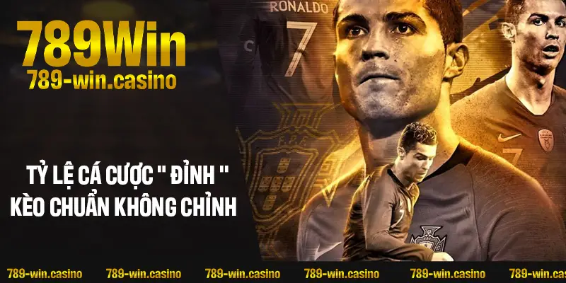 Tỷ lệ cá cược “đỉnh”, kèo chuẩn không cần chỉnh