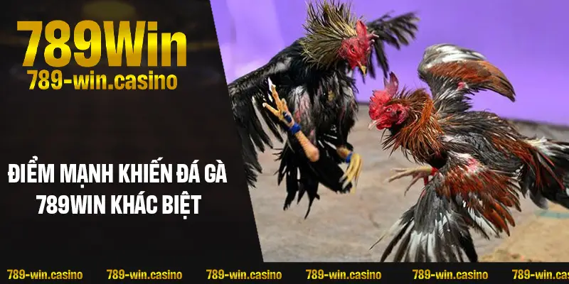 Điểm mạnh độc quyền khiến đá gà 789WIN khác biệt