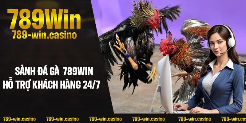 Hỗ trợ khách hàng liên tục 24/7 – Luôn bên bạn